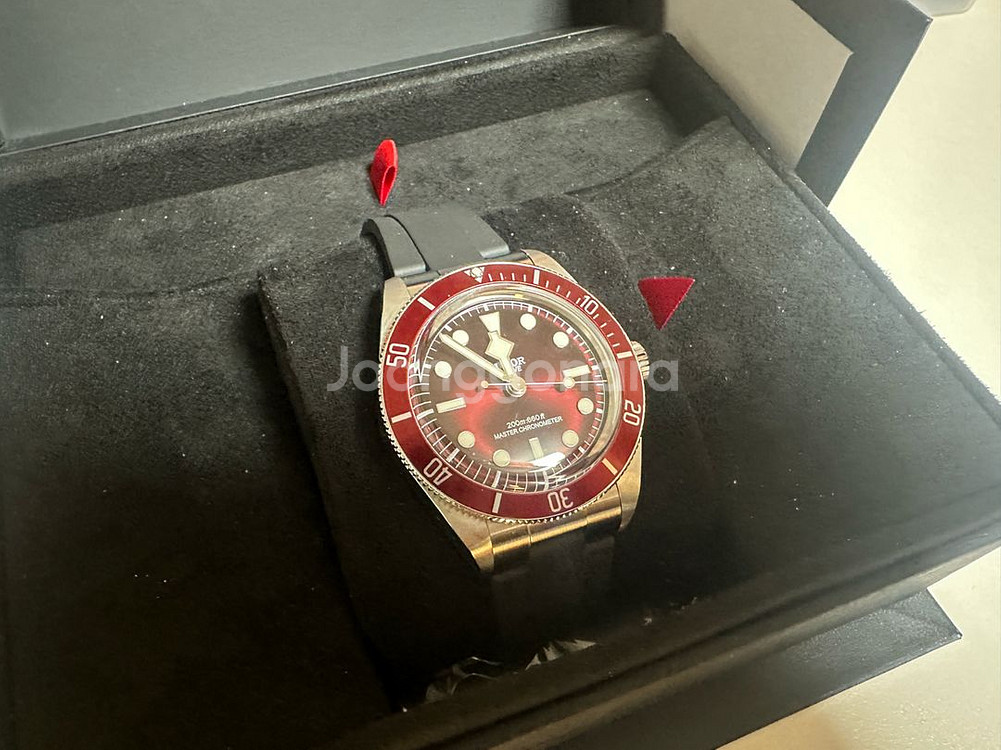 튜더 블랙베이 58 버건디 미착용--0