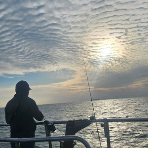 솔티가 sj 4파워 구형 구합니다.