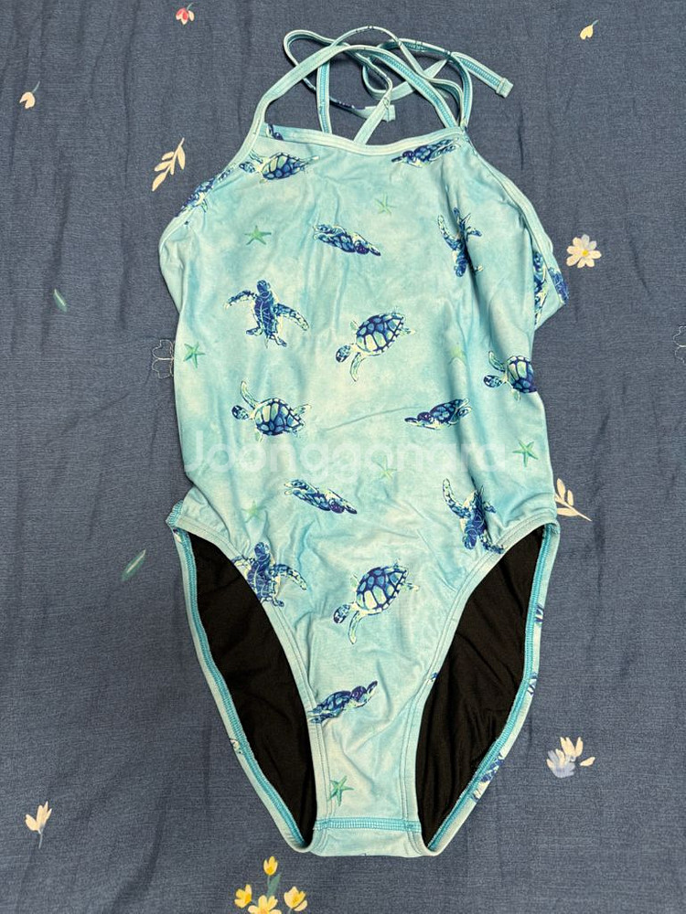 졸린 씨터틀 잭슨 26--0