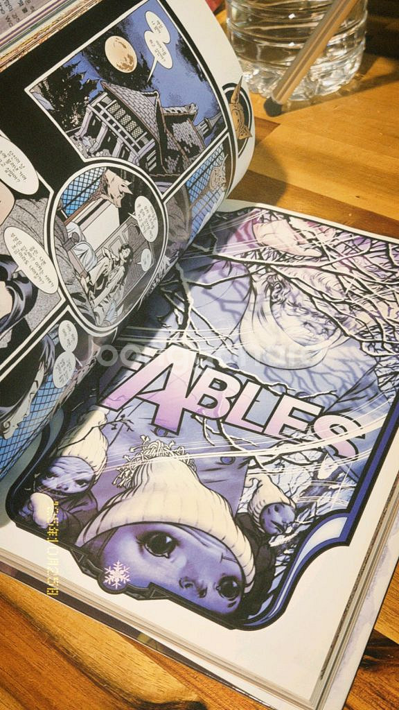 Fables:The Deluxe Edition Book--2