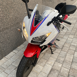 부산 / cbr300 / 건담 / 15년식 / 250만