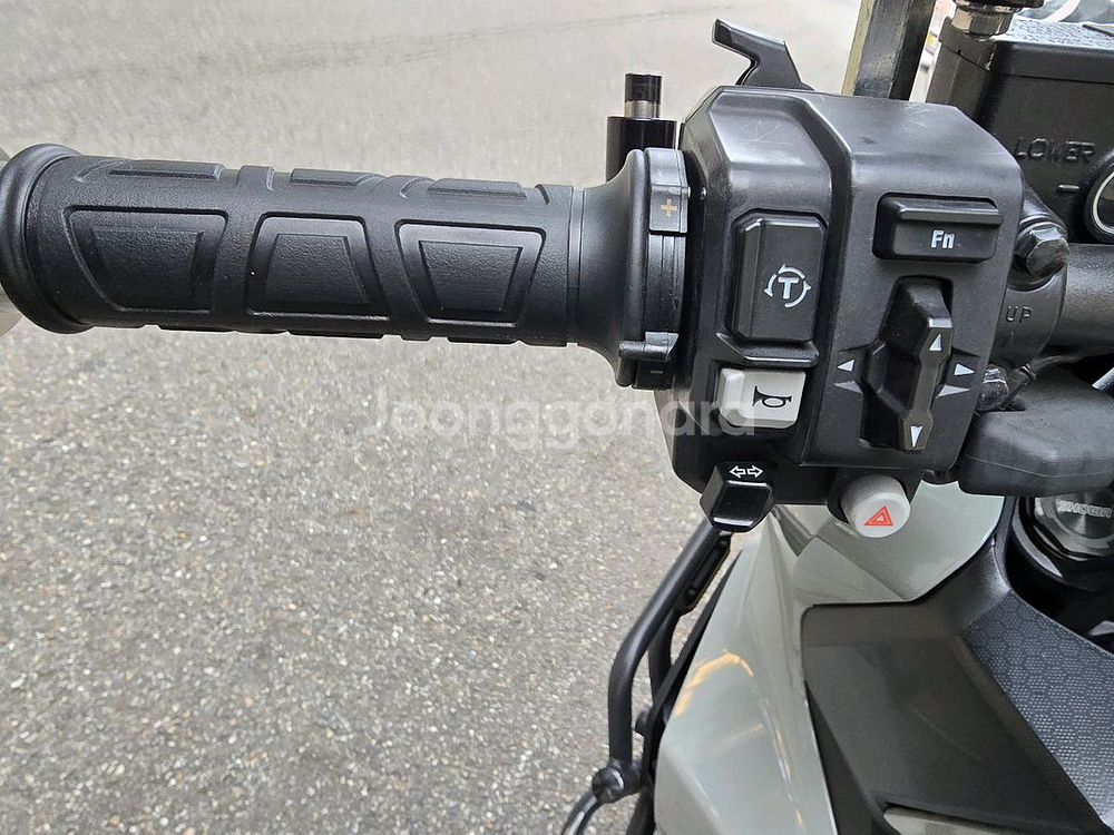 혼다 ADV 350 24년식 그레이--1