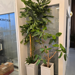 *사무실 화분 30개 한번에 모두 가져가실분