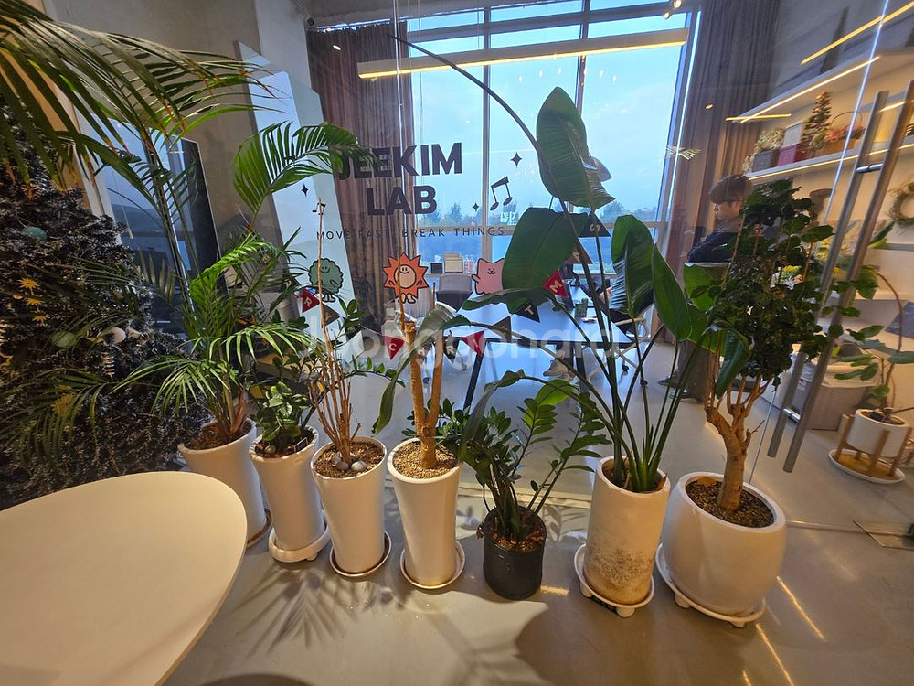 *사무실 화분 30개 한번에 모두 가져가실분--5