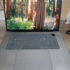 맥북 프로 16 M1 Pro 16GB 1TB