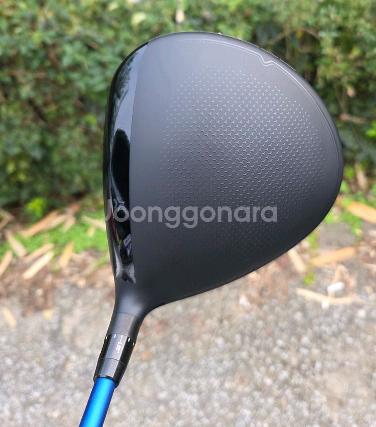 스릭슨 ZXI 9도 벤투스블루플러스 6S 판매--2