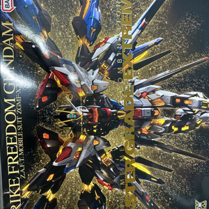 mgex 스트라이크 프리덤 블랙 전기코팅 이성공방