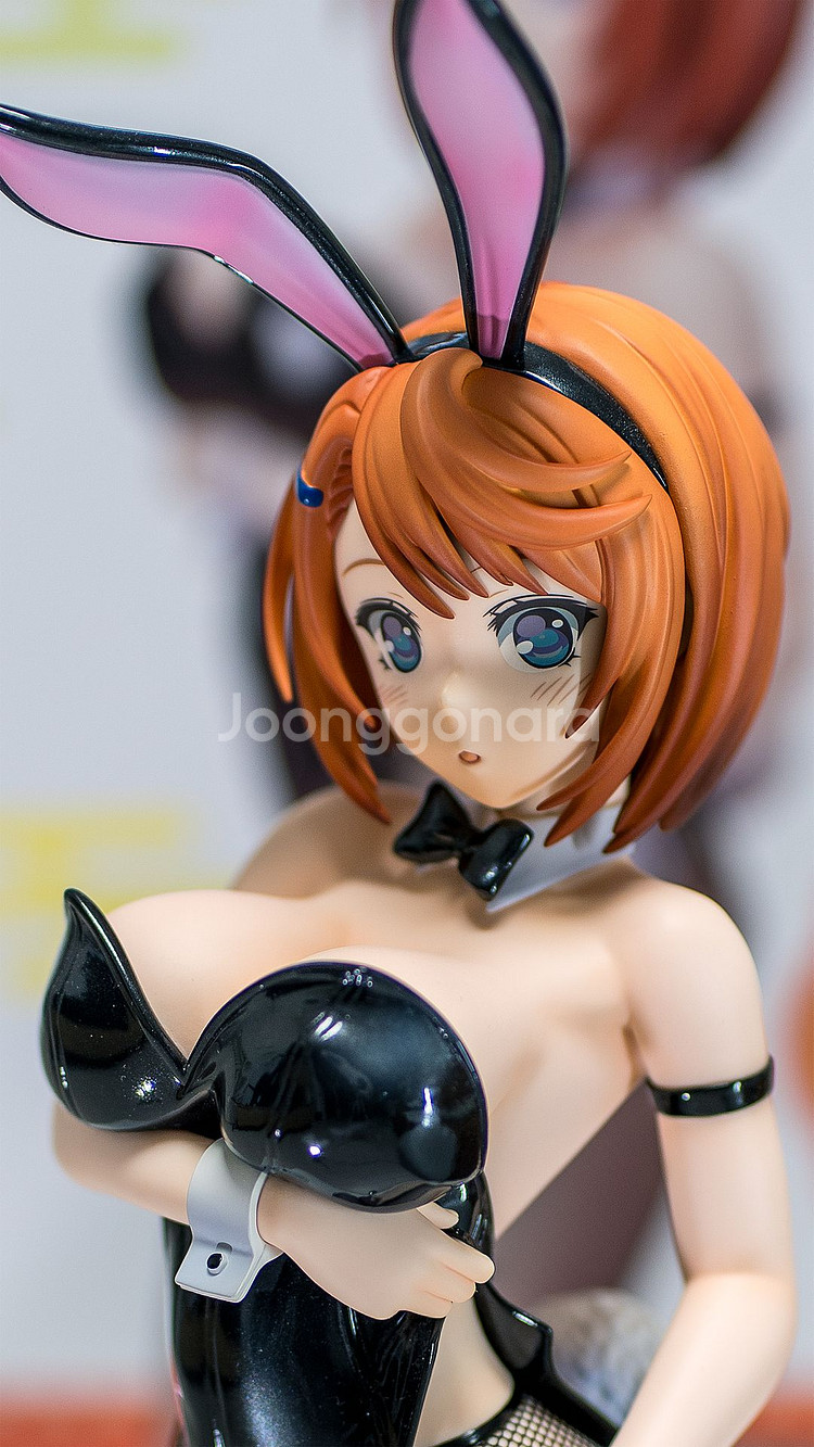 프링/유라기장의 유우나씨/미야자키 치사키 바니Ver--0