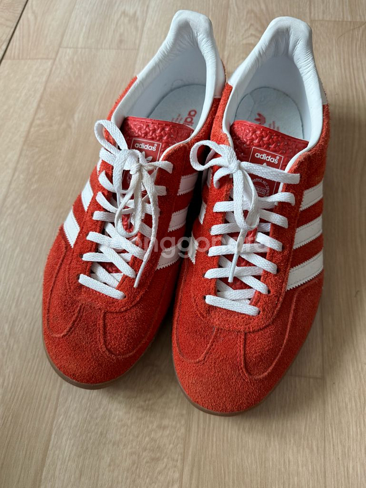 가젤 인도어 290--0