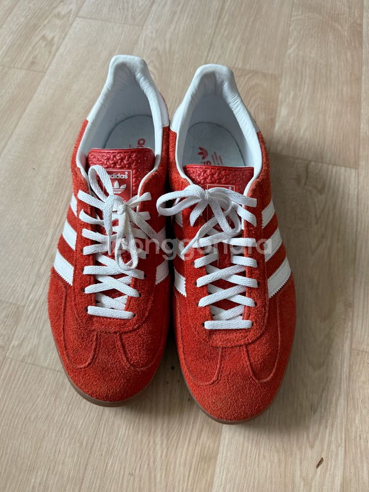 가젤 인도어 290--1