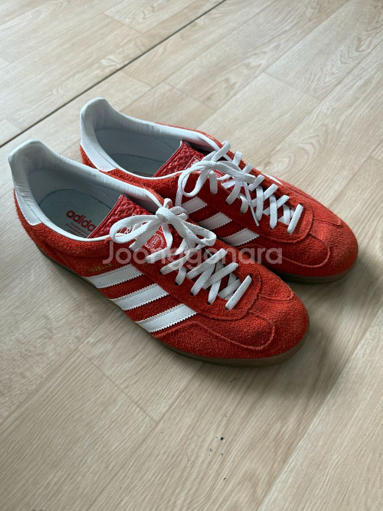 가젤 인도어 290--2