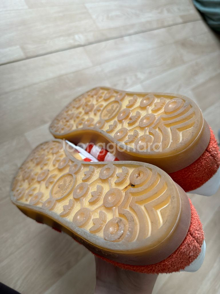 가젤 인도어 290--3