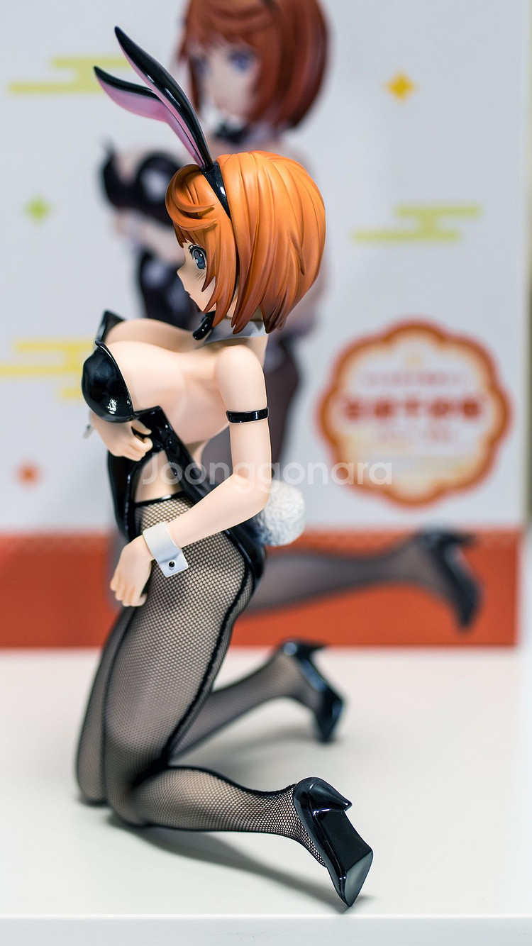 프링/유라기장의 유우나씨/미야자키 치사키 바니Ver--2