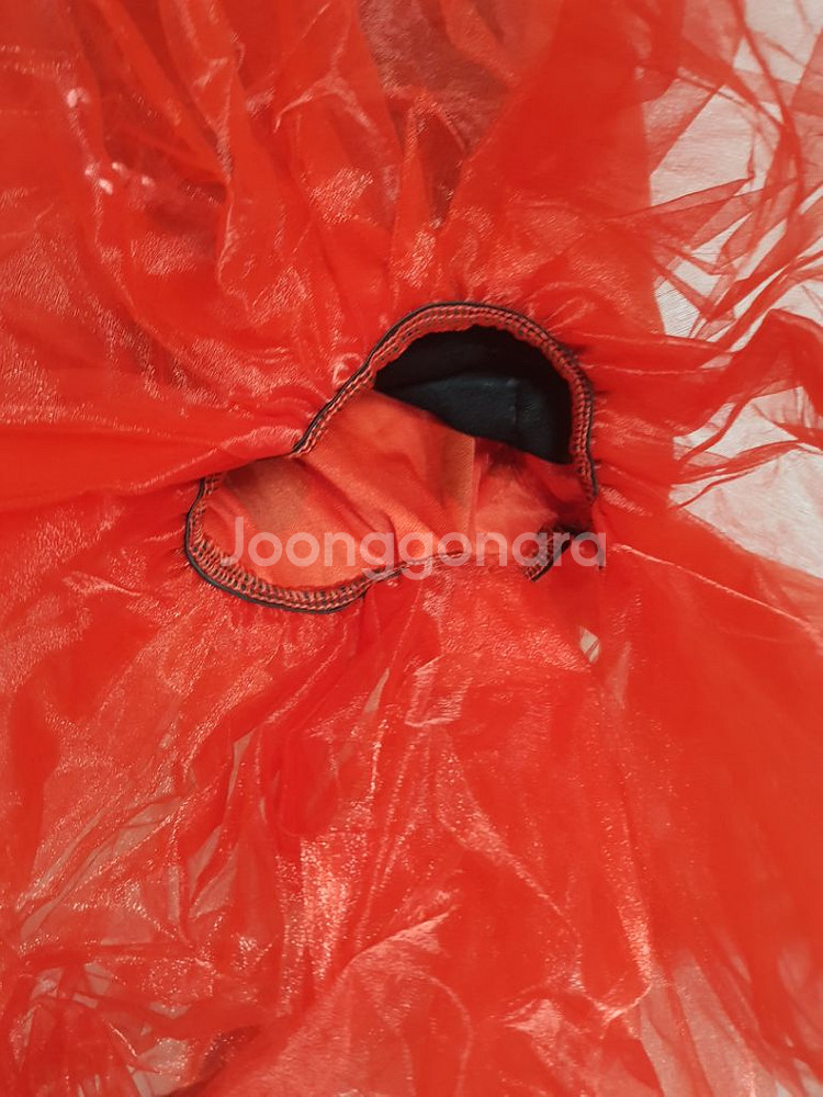 무당벌레/XL 할로윈 코스튬 의상--2