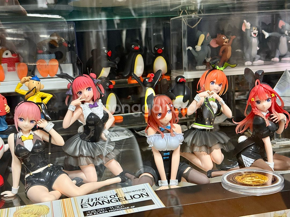 데스크탑 큐트 5등분의 신부 바니걸 세트--0