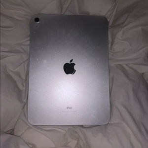 아이패드 10세대
