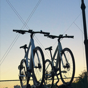 툴레 자전거 캐리어