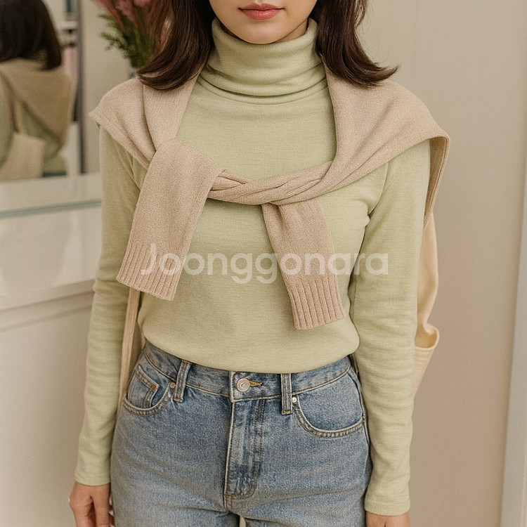 히트텍 폴라티셔츠 데일리 이너티(3color)ㅡ무배--2