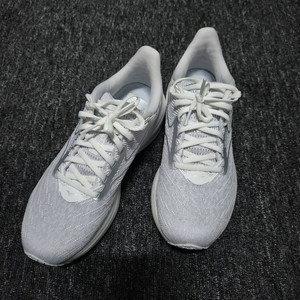 미즈노 웨이브 러이더 29