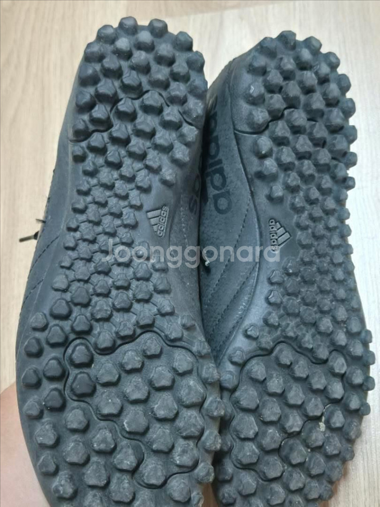 아디다스 풋살화 255--3