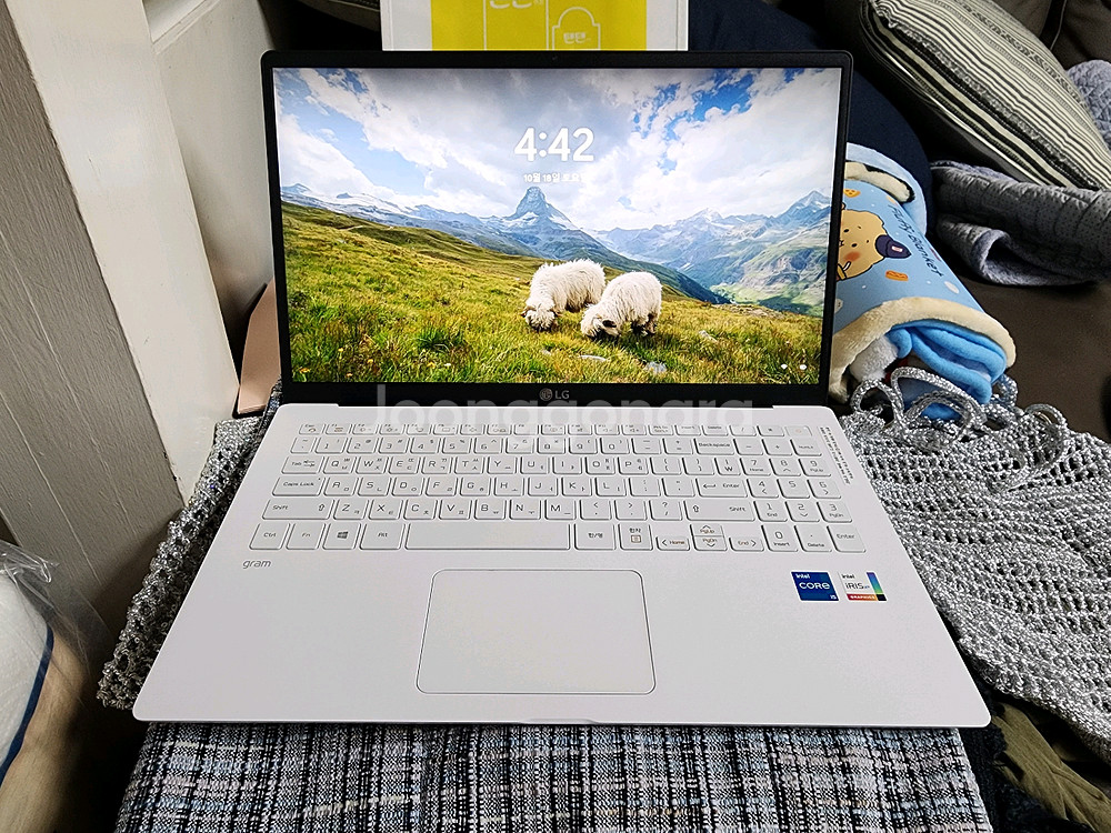 LG 그램 최고급 쿼드 코어 i5 16G 초경량 윈11--5