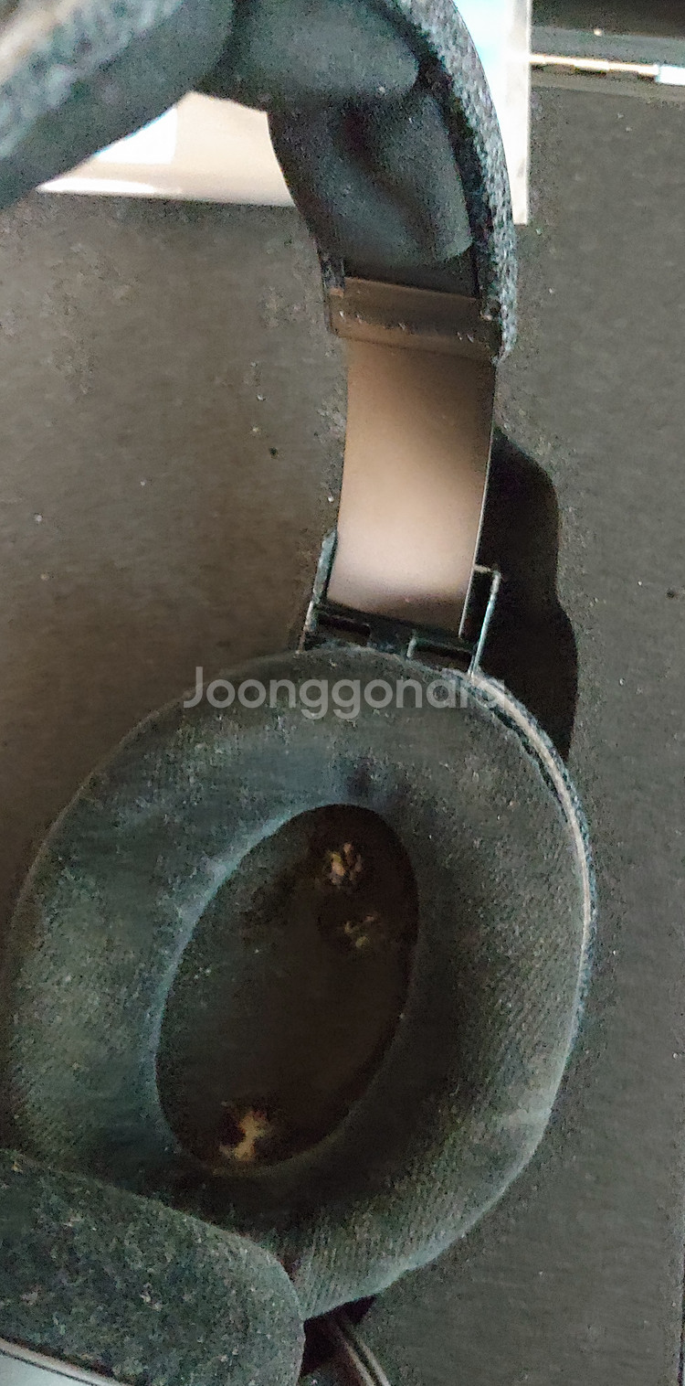 젠하이저 HD600--1