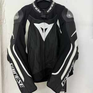 다이네즈 가죽자켓 팝니다