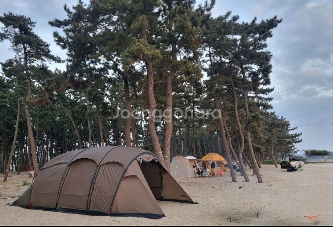 코베아 고스트 플러스 탄 대형텐트(루프 포함)--1