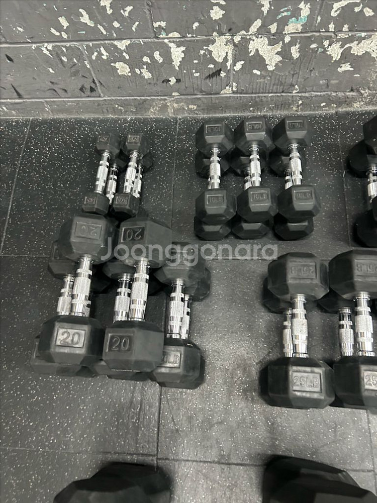 육각 덤벨 크로스핏 덤벨 파운드 덤벨--0