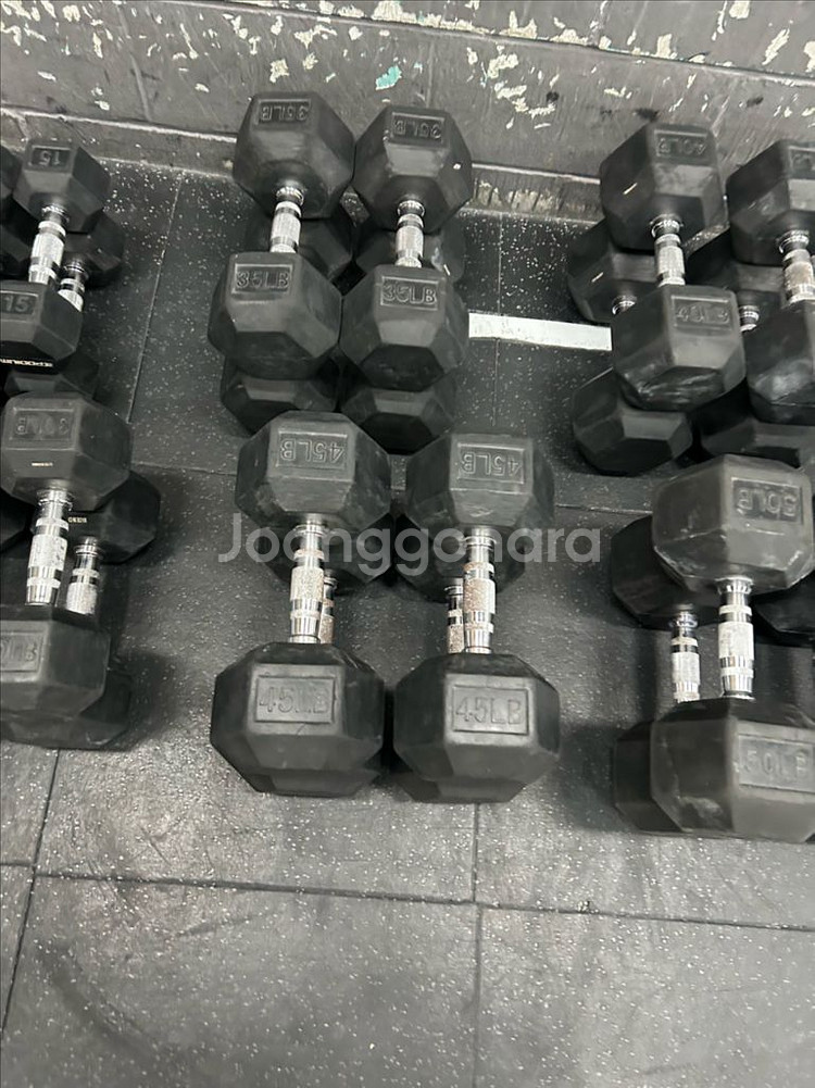 육각 덤벨 크로스핏 덤벨 파운드 덤벨--2