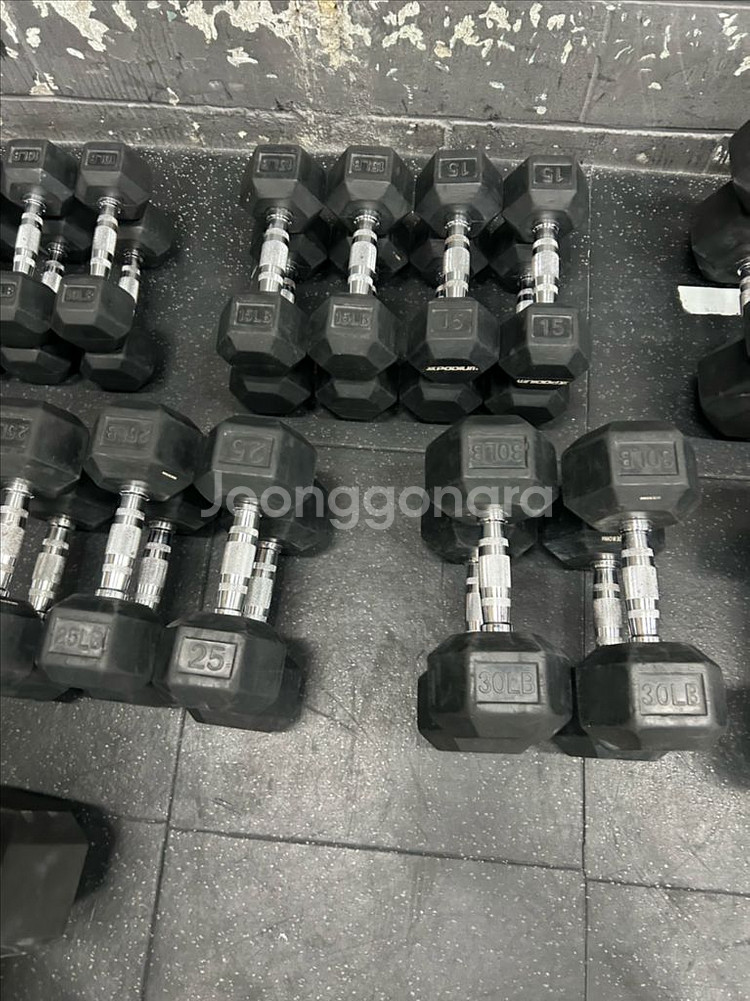 육각 덤벨 크로스핏 덤벨 파운드 덤벨--1