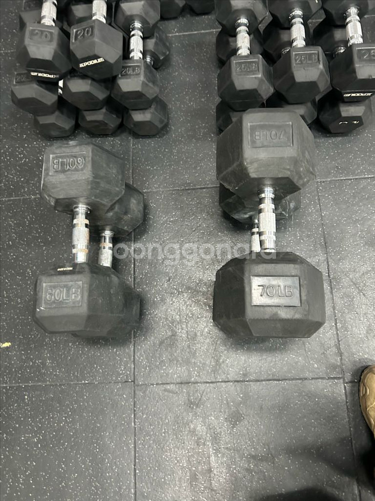 육각 덤벨 크로스핏 덤벨 파운드 덤벨--4