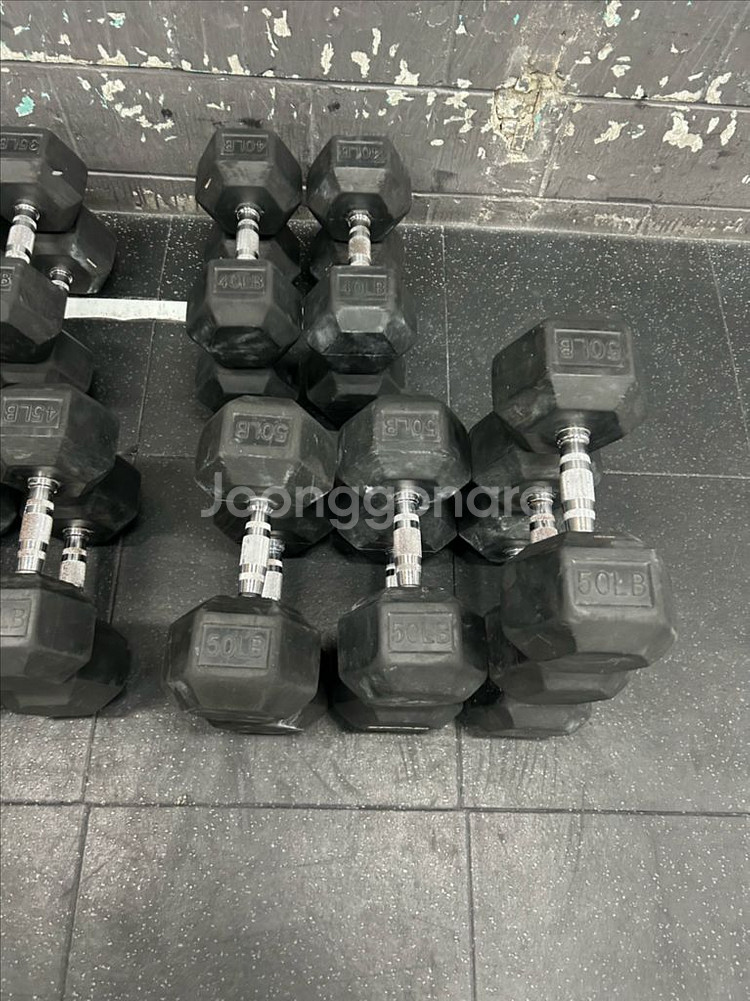 육각 덤벨 크로스핏 덤벨 파운드 덤벨--3