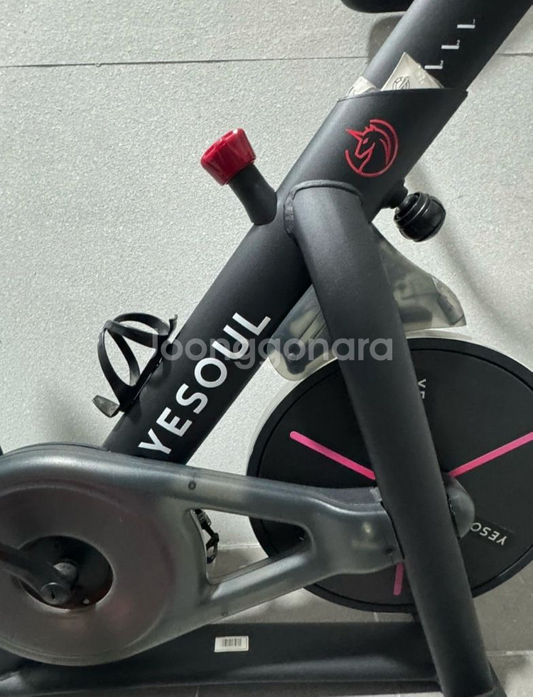 YESOUL S3 가정용 헬스 자전거--0