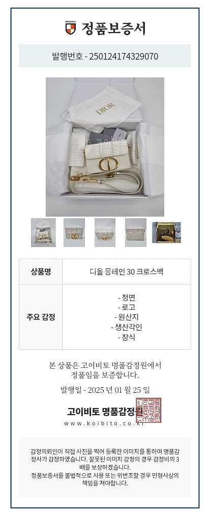 디올 몽테인 크로스백--1