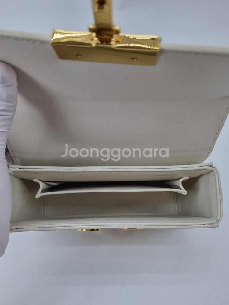 디올 몽테인 크로스백--6