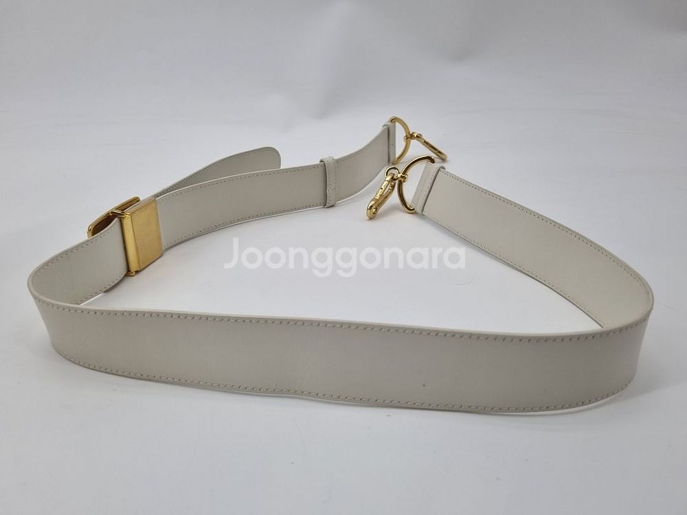 디올 몽테인 크로스백--9