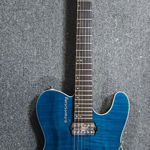 가와사미 커스텀 일렉기타 (셋업됨, 가방포함)