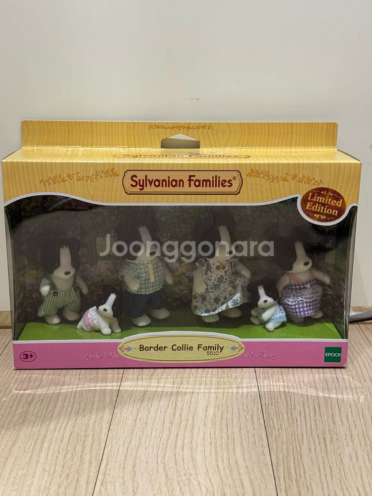 실바니안 보더콜리 가족--0