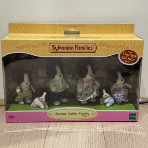 실바니안 보더콜리 가족