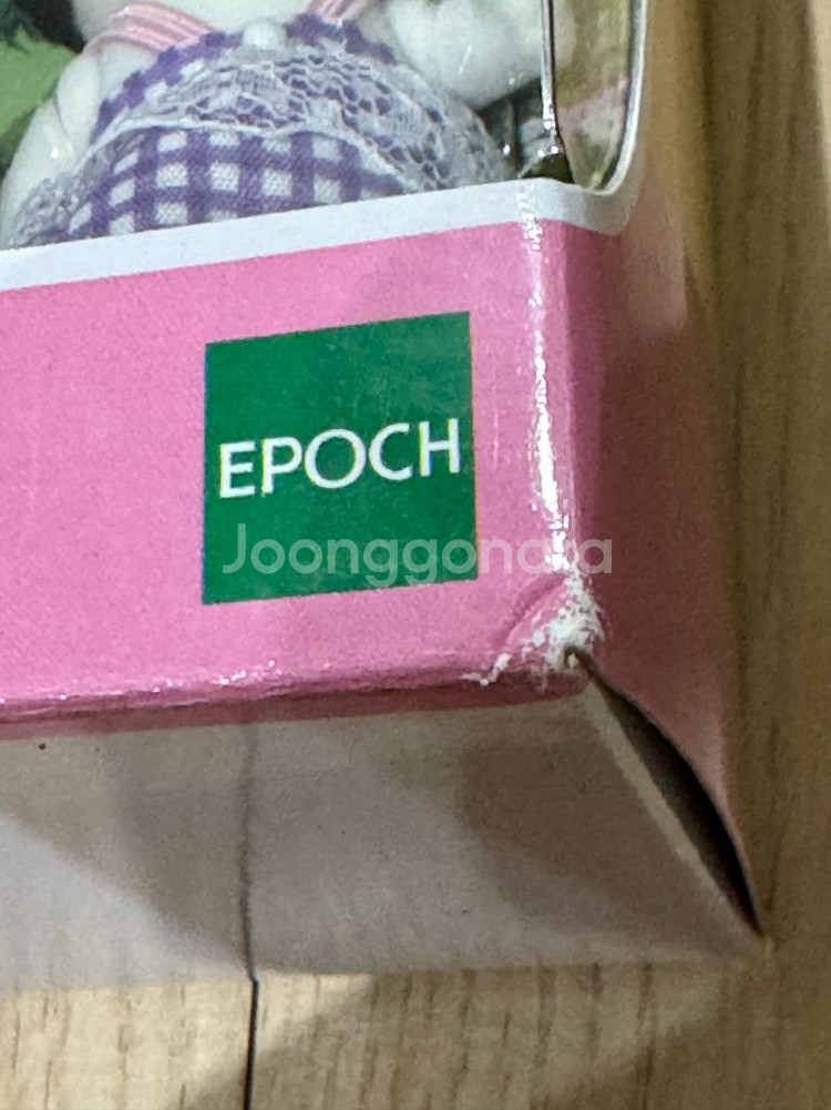 실바니안 보더콜리 가족--1