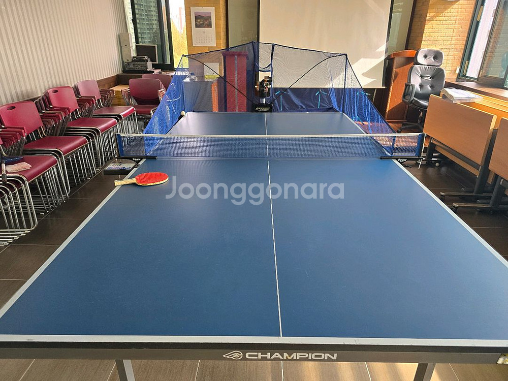 챔피언탁구대, 탁구공등 풀세트--1