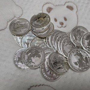 2020 브리타니아 은화 1튜브 팝니다 실버바