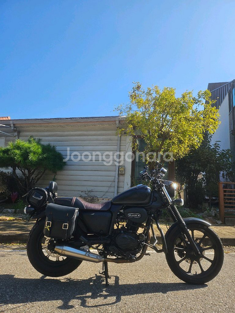 최저가)베네트125 24년형 정비완료 최저가판매--1