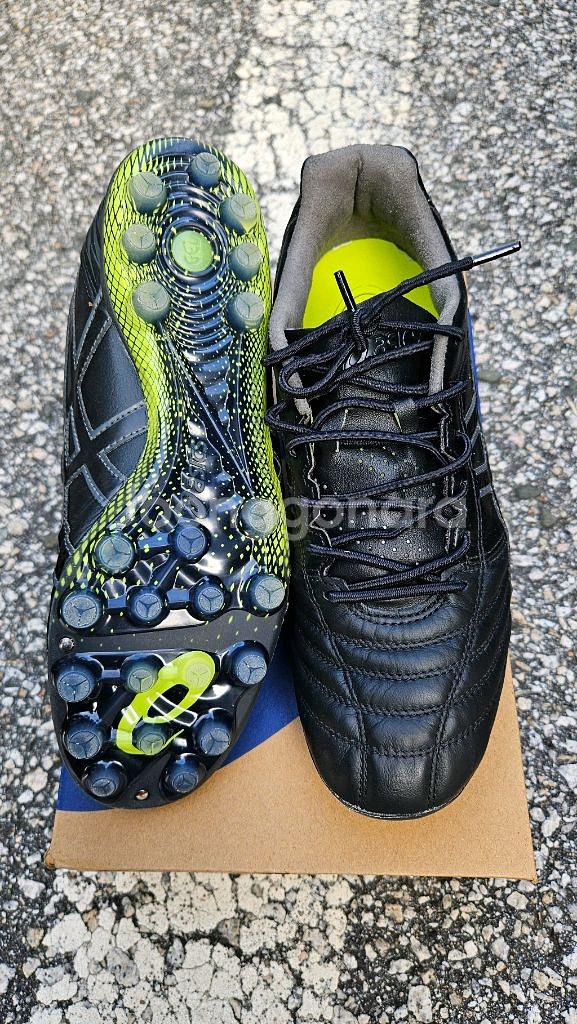 아식스 DS Light AG 255mm--1