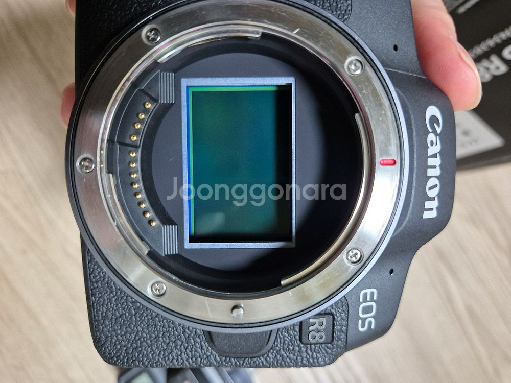 1500장 이하 캐논 eos R8 카메라 베터리3개 박스포함--8