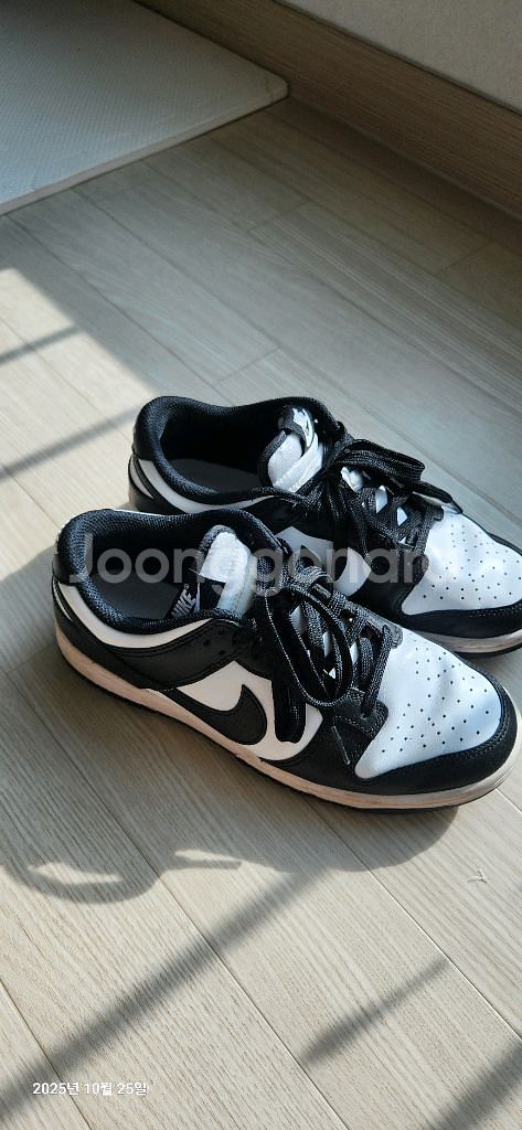 나이키 덩크 로우 범고래 250mm--0