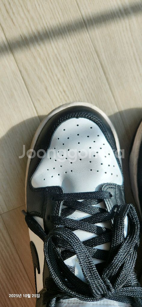 나이키 덩크 로우 범고래 250mm--3