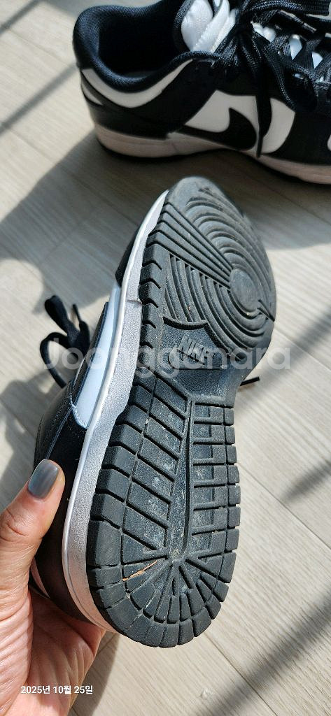 나이키 덩크 로우 범고래 250mm--1