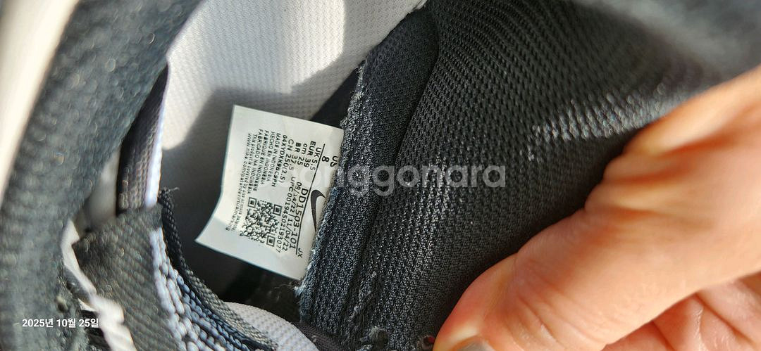 나이키 덩크 로우 범고래 250mm--2